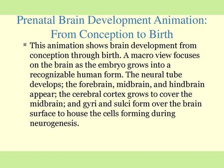 Brain Development & Neuroplasticity - ppt video online download