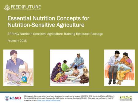 Essential Nutrition Concepts for Nutrition-Sensitive Agriculture