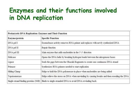 Enzymes and their functions involved in DNA replication