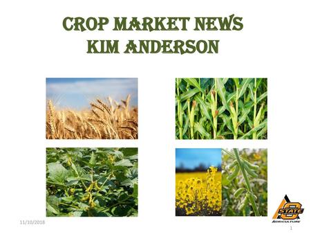 Crop Market News Kim Anderson