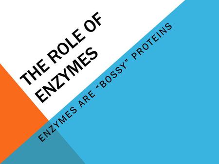 Enzymes are “Bossy” Proteins