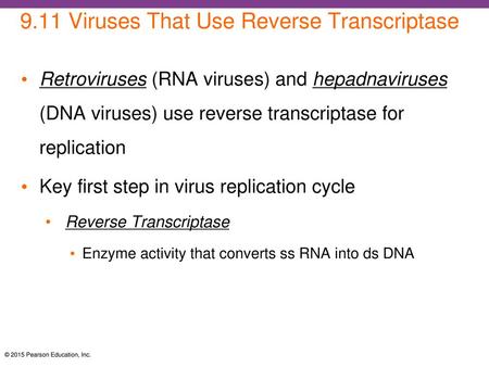 9.11 Viruses That Use Reverse Transcriptase