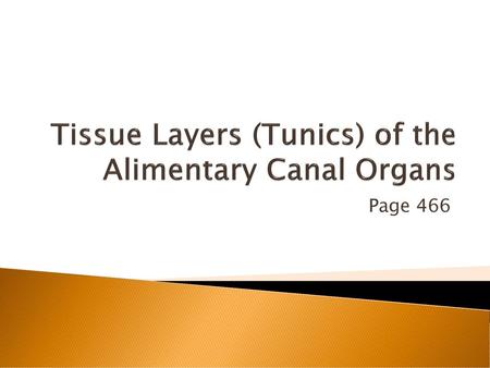 Tissue Layers (Tunics) of the Alimentary Canal Organs