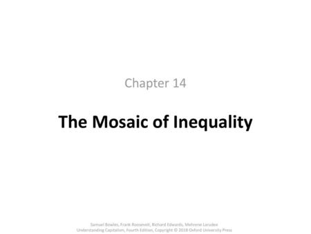 The Mosaic of Inequality