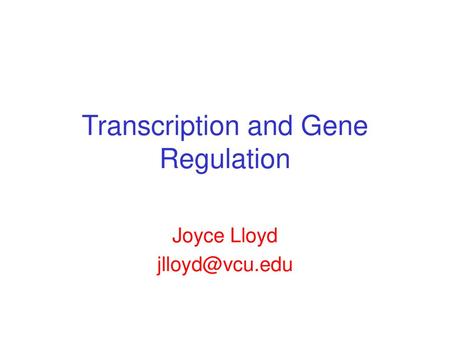 Transcription and Gene Regulation