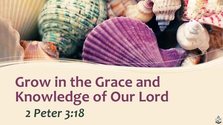 Grow in the Grace and Knowledge of Our Lord