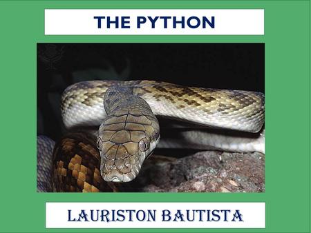 THE PYTHON Lauriston Bautista