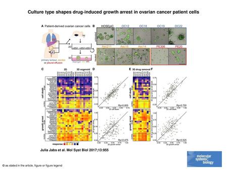 Culture type shapes drug‐induced growth arrest in ovarian cancer patient cells Culture type shapes drug‐induced growth arrest in ovarian cancer patient.