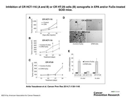 Inhibition of CR HCT-116 (A and B) or CR HT-29 cells (B) xenografts in EPA and/or FuOx-treated SCID mice. Inhibition of CR HCT-116 (A and B) or CR HT-29.