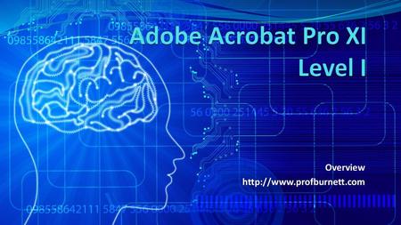 Adobe Acrobat Pro XI Level I