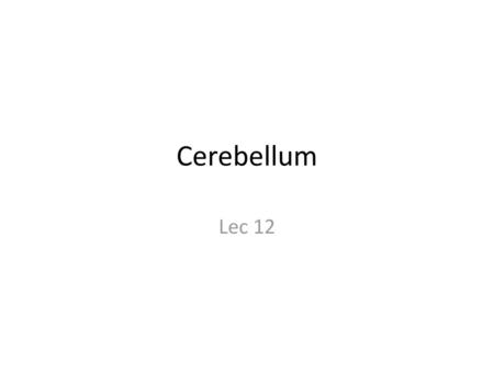 Cerebellum Lec 12.