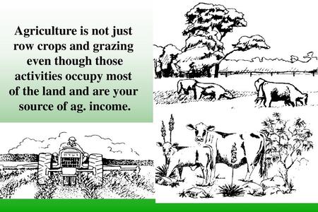 Agriculture is not just activities occupy most
