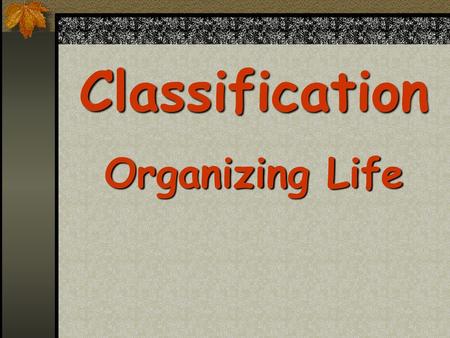 Classification Organizing Life.