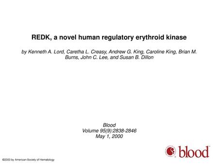 REDK, a novel human regulatory erythroid kinase
