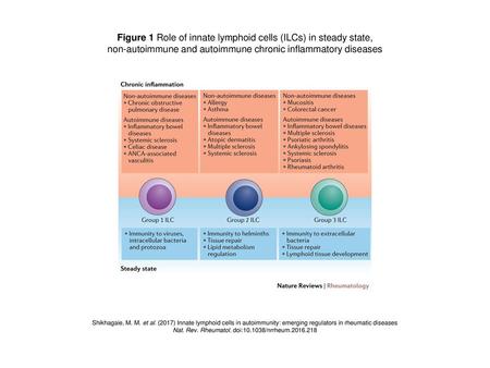 Figure 1 Role of innate lymphoid cells (ILCs) in steady state,