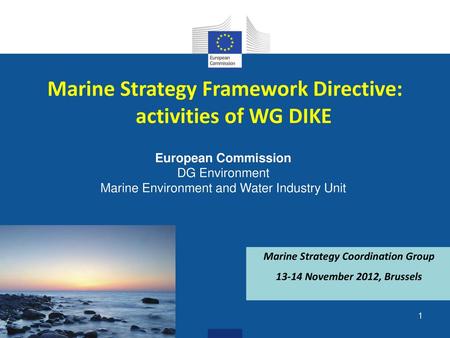 Marine Strategy Framework Directive: activities of WG DIKE