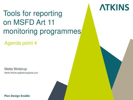 Tools for reporting on MSFD Art 11 monitoring programmes