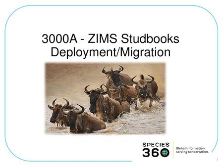 3000A - ZIMS Studbooks Deployment/Migration
