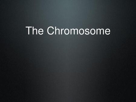 The Chromosome.