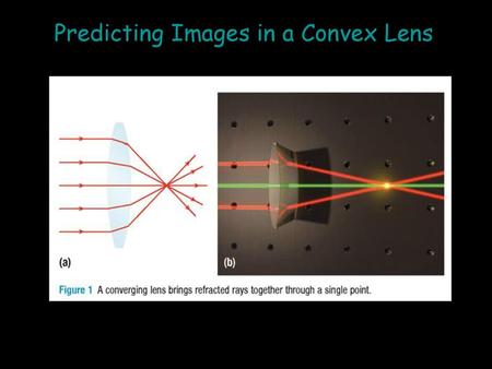 Predicting Images in a Convex Lens