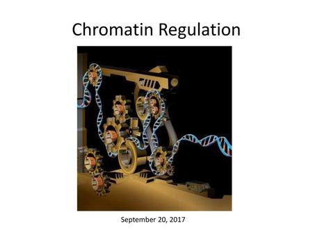 Chromatin Regulation September 20, 2017.