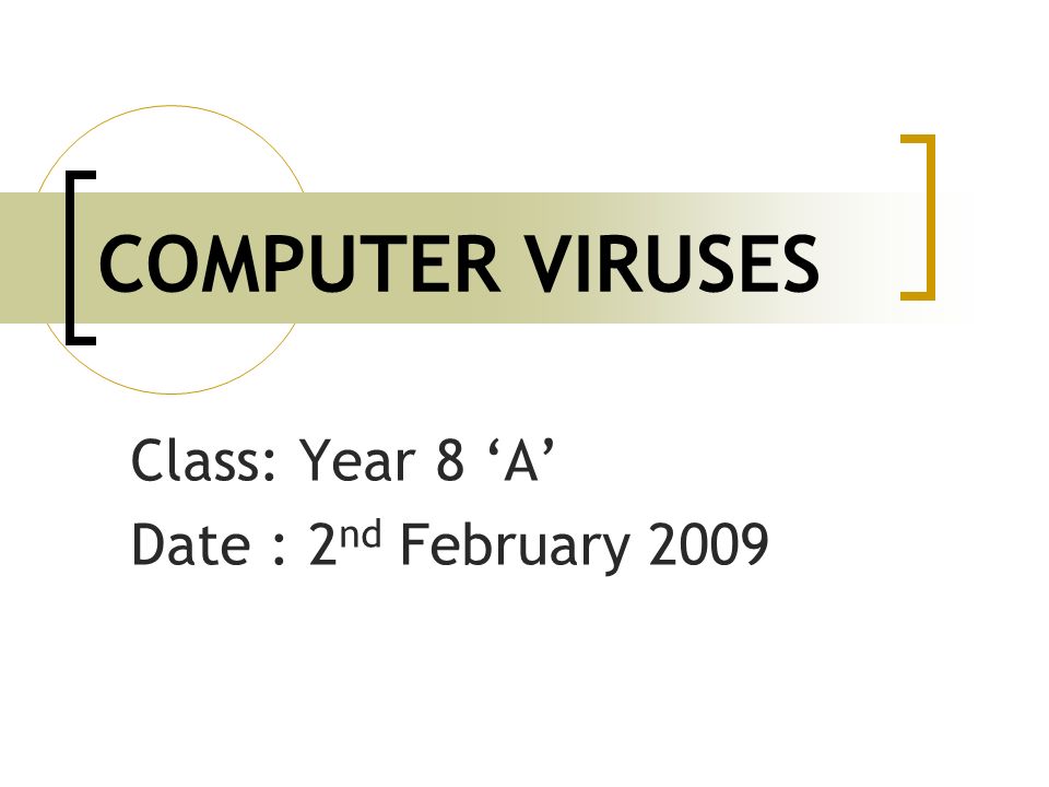 essay on computer virus