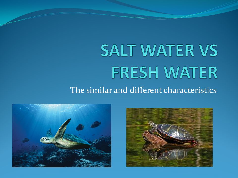 SALT WATER VS FRESH WATER - ppt video online download