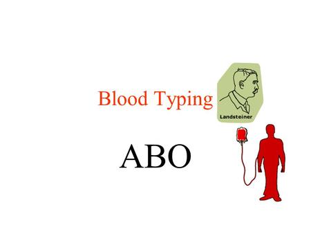 Blood Typing ABO.