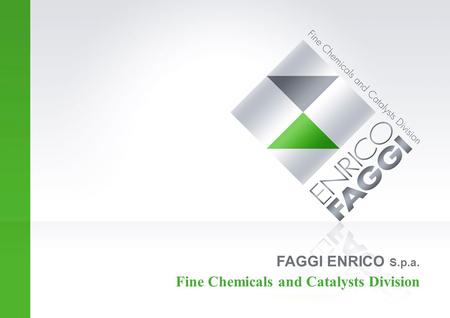 FAGGI ENRICO S.p.a. Fine Chemicals and Catalysts Division.