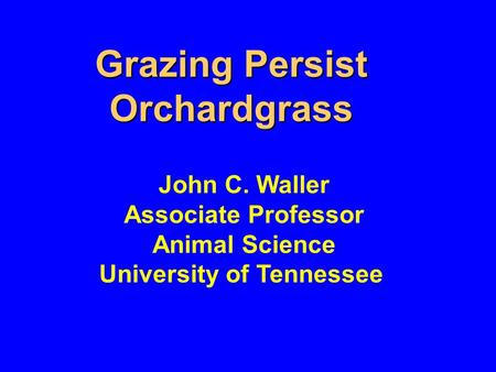 Grazing Persist Orchardgrass John C. Waller Associate Professor Animal Science University of Tennessee.