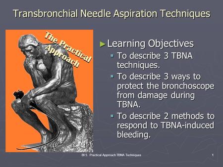 Transbronchial Needle Aspiration Techniques