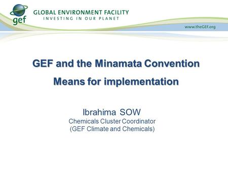Ibrahima SOW Chemicals Cluster Coordinator (GEF Climate and Chemicals) GEF and the Minamata Convention Means for implementation.