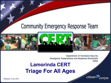 Lamorinda CERT Triage For All Ages Released: 8 July 2013.
