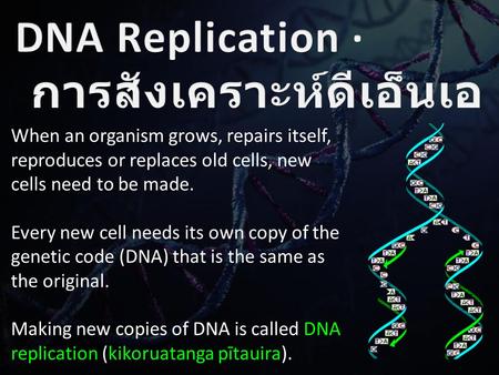 When an organism grows, repairs itself, reproduces or replaces old cells, new cells need to be made. Every new cell needs its own copy of the genetic code.