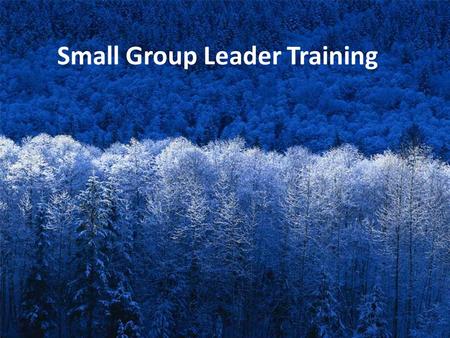 Small Group Leader Training. 1. WHAT DOES EVERY SUNDAY SCHOOL CLASS NEED TO EXIST?