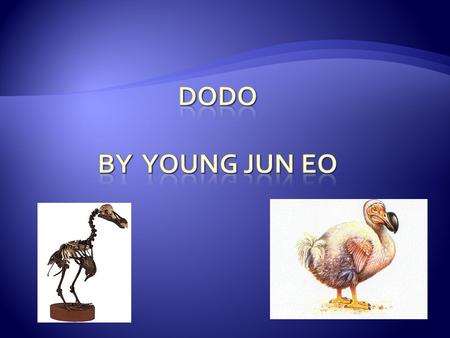  Extinct animals are species, or kinds of animals that have all died many years ago. For example dinosaurs became extinct millions of years ago. Dodo.