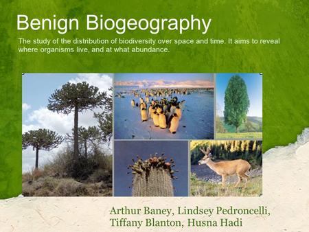 Benign Biogeography Arthur Baney, Lindsey Pedroncelli, Tiffany Blanton, Husna Hadi The study of the distribution of biodiversity over space and time. It.