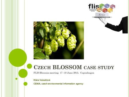 C ZECH BLOSSOM CASE STUDY FLIS Blossom meeting 17 –18 June 2013, Copenhagen Klára Vočadlová CENIA, czech environmental information agency.
