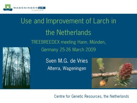 Centre for Genetic Resources, the Netherlands Use and Improvement of Larch in the Netherlands TREEBREEDEX meeting Hann. Münden, Germany 25-26 March 2009.