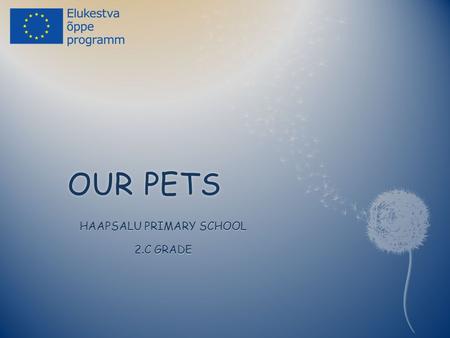 OUR PETSOUR PETS HAAPSALU PRIMARY SCHOOL 2.C GRADE.