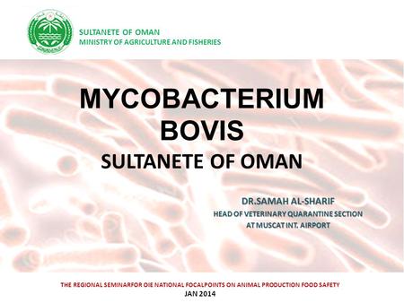 MYCOBACTERIUM BOVIS SULTANETE OF OMAN DR.SAMAH AL-SHARIF HEAD OF VETERINARY QUARANTINE SECTION AT MUSCAT INT. AIRPORT THE REGIONAL SEMINARFOR OIE NATIONAL.