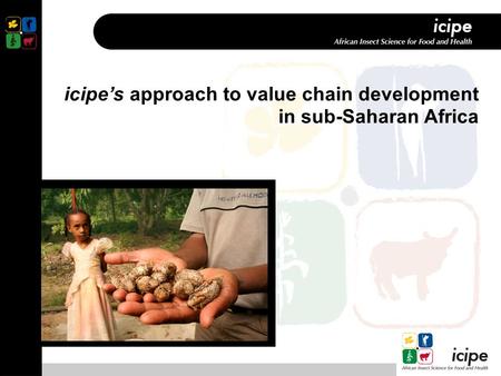 Icipe’s approach to value chain development in sub-Saharan Africa.