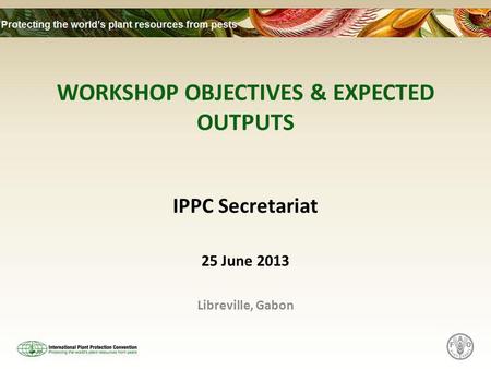 WORKSHOP OBJECTIVES & EXPECTED OUTPUTS IPPC Secretariat 25 June 2013 Libreville, Gabon.