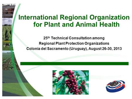 International Regional Organization for Plant and Animal Health 25 th Technical Consultation among Regional Plant Protection Organizations Colonia del.