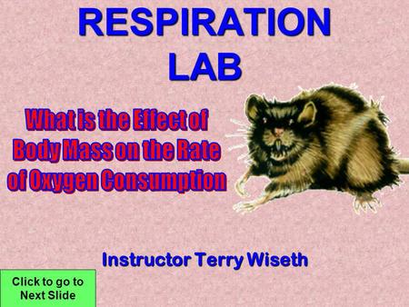 RESPIRATION LAB Instructor Terry Wiseth Click to go to Next Slide.