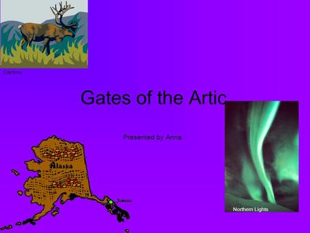 Gates of the Artic Presented by Anna Caribou Northern Lights.