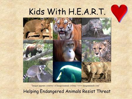 Kids With H.E.A.R.T. Helping Endangered Animals Resist Threat