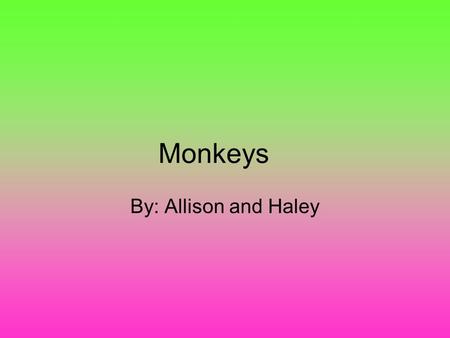 Monkeys By: Allison and Haley.     Introduction Listen Carefully so you can find out all the information you need to know about monkeys.