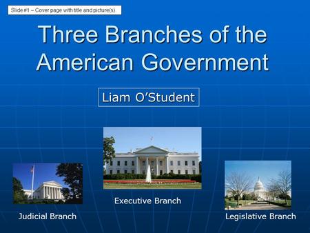 Three Branches of the American Government