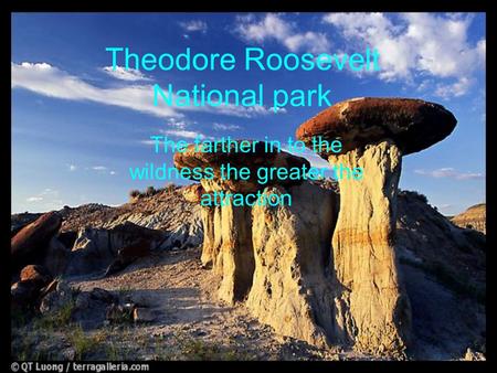 Theodore Roosevelt National park The farther in to the wildness the greater the attraction.